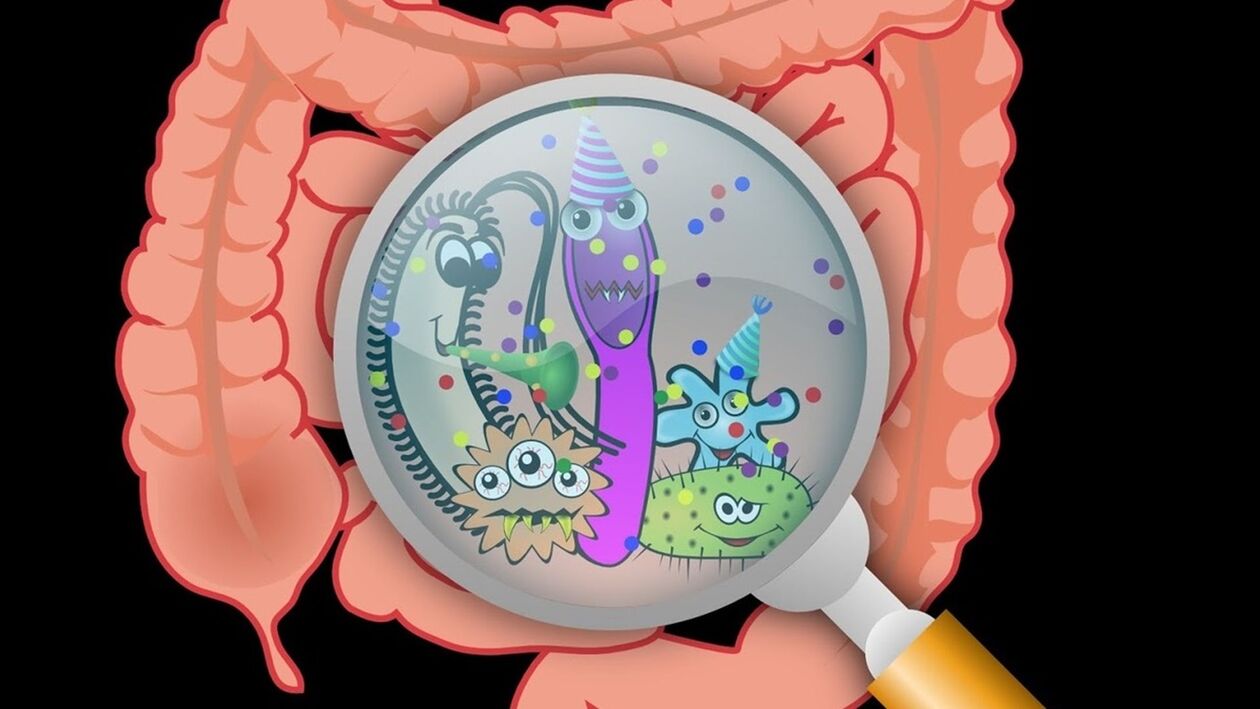 férgek a szervezetben